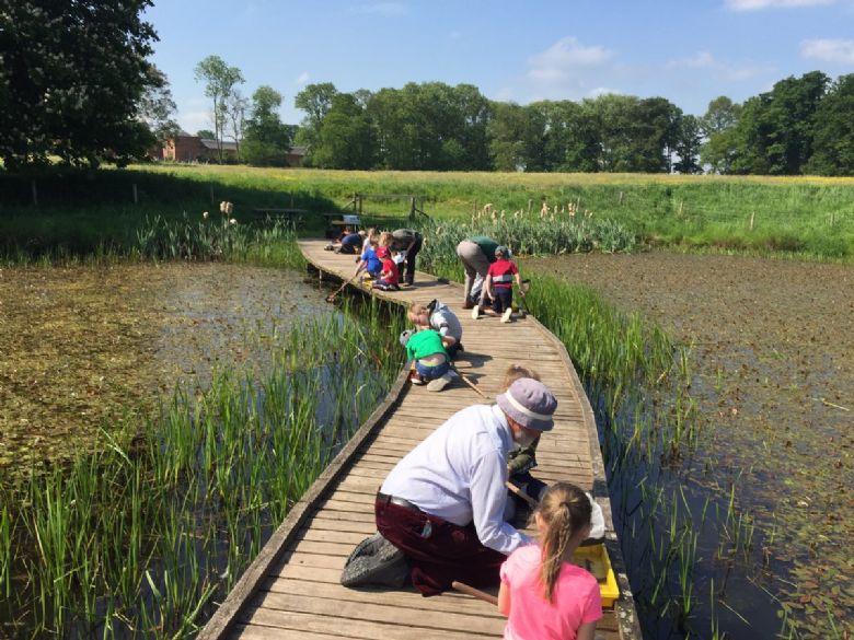 Prees CE Primary School and Nursery - Year 1 and 2 Attingham Park Visit